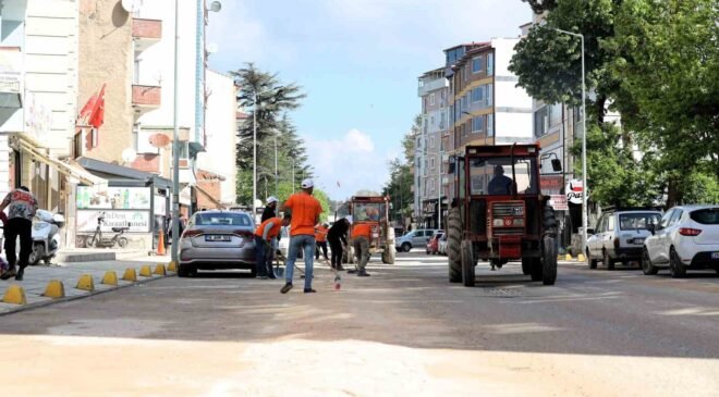 Bilecik’te çim biçme ve ilaçlama çalışmaları hız kazandı