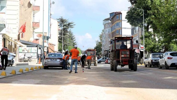 Bilecik’te çim biçme ve ilaçlama çalışmaları hız kazandı