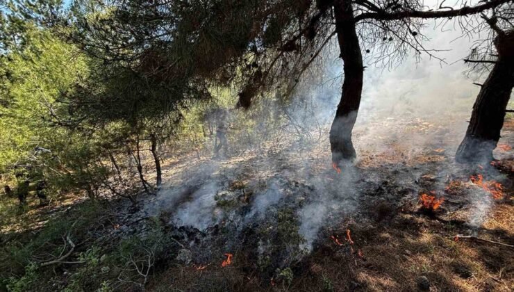 Bilecik’te ormanlık alanda yangın çıktı