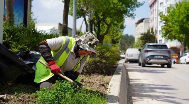 Bilecik’te park ve bahçeler müdürlüğünden yaza hazırlık çalışmaları