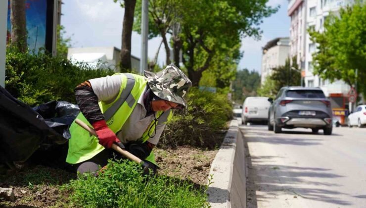 Bilecik’te park ve bahçeler müdürlüğünden yaza hazırlık çalışmaları