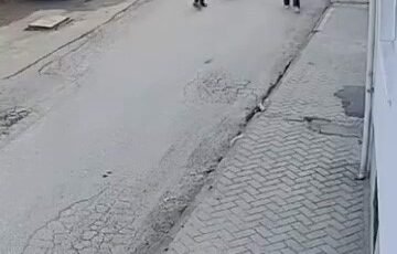 Bir anda koşup havlayan köpek küçük çocuğu korkuttu