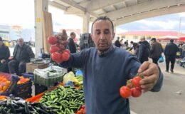 Domates fiyatlarının yüksek olmasının sebebi soğuk hava