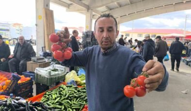 Domates fiyatlarının yüksek olmasının sebebi soğuk hava