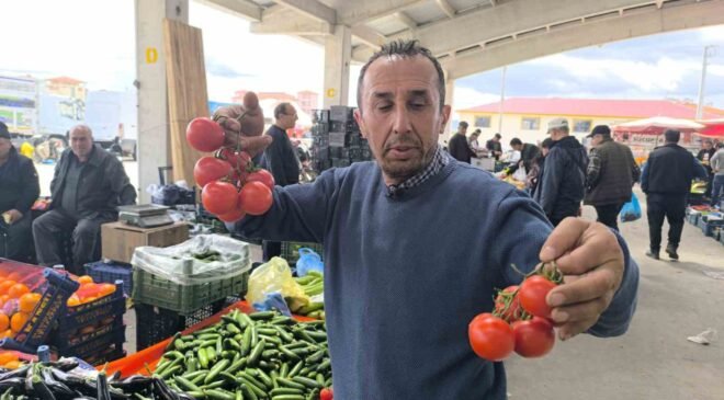 Domates fiyatlarının yüksek olmasının sebebi soğuk hava