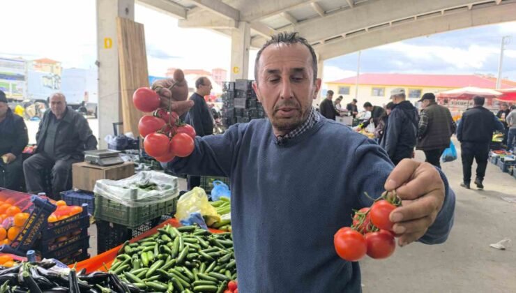 Domates fiyatlarının yüksek olmasının sebebi soğuk hava