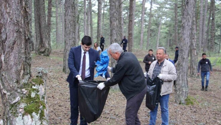 Dumlupınar’da ormanlık alanlarda çevre temizliği