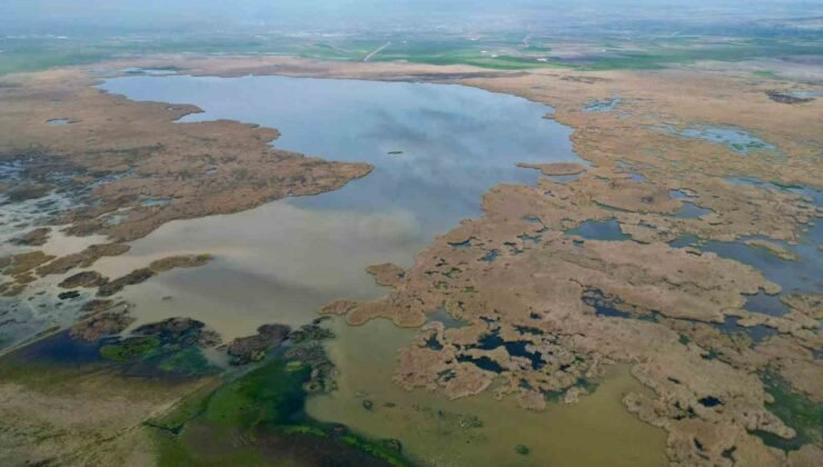 Eber Gölü’nden yıllık 22 milyon ton suyun kaçak çekildiği iddiaları gerçek dışı”