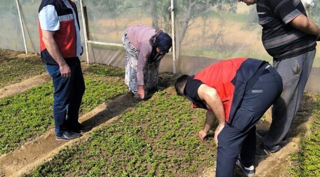Emet’te seralarda inceleme ve bilgilendirme faaliyetleri