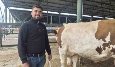 Eskişehir Hayvan Pazarı’nın şampiyon danası görücüye çıktı
