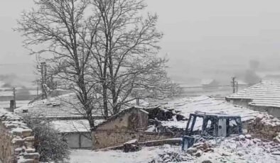 Eskişehir’in kırsalı mayıs ayında beyaza büründü