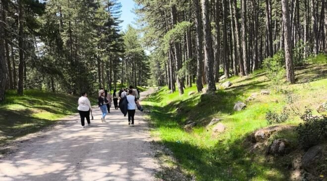 Hisarcık’ta özel öğrencilerinde katıldığı doğa yürüyüşü