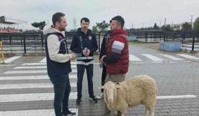Kütahya’da kurbanlık pazarında sahte para ve dolandırıcılık uyarısı