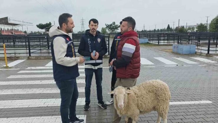 Kütahya’da kurbanlık pazarında sahte para ve dolandırıcılık uyarısı
