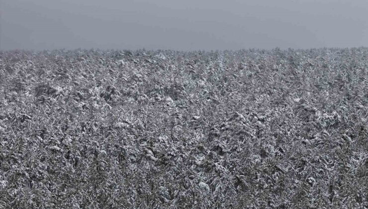 Mayıs ayında karla kaplanan ormanların eşsiz manzarası hayran bıraktı