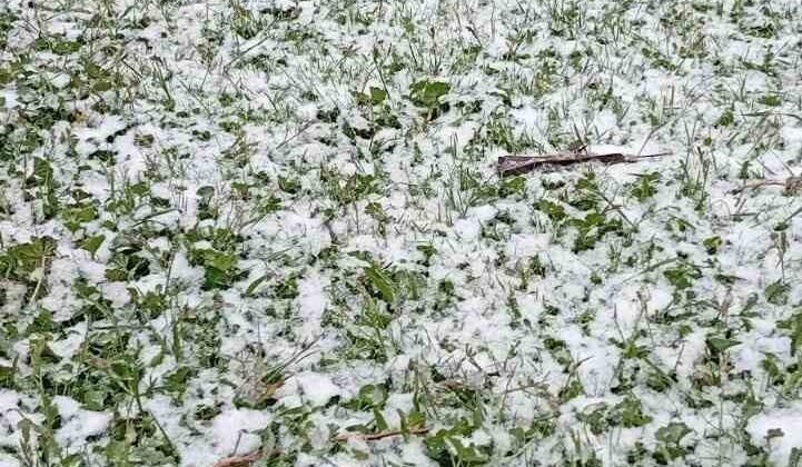 Mayısta yağan kar hayretle karşılandı