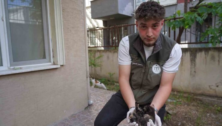 Mazgalda sıkışan kedi yavruları kurtarıldı