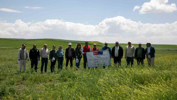 Meralarda yürütülen ıslah çalışmaları tamamlanıyor