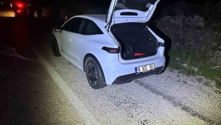Önüne aniden çıkan köpeğe duramayarak çarptı