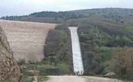Pazaryeri tarımında altın dönem başlıyor