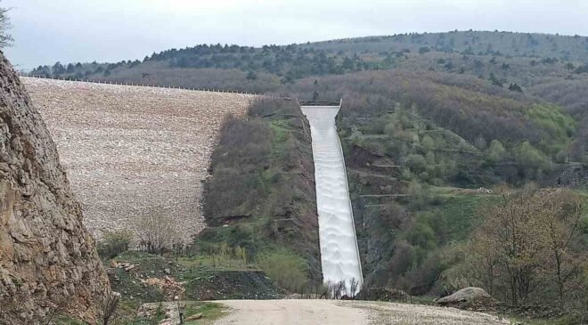 Pazaryeri tarımında altın dönem başlıyor