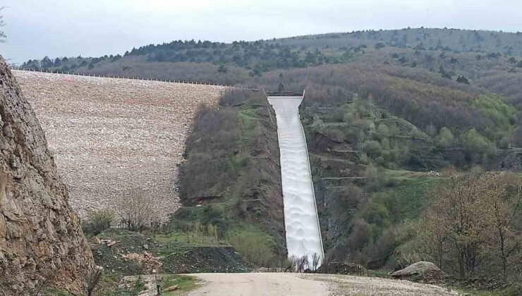 Pazaryeri tarımında altın dönem başlıyor