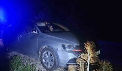 Seyir halindeki otomobile geyik çarptı: 2 yaralı