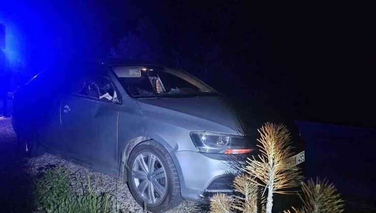 Seyir halindeki otomobile geyik çarptı: 2 yaralı