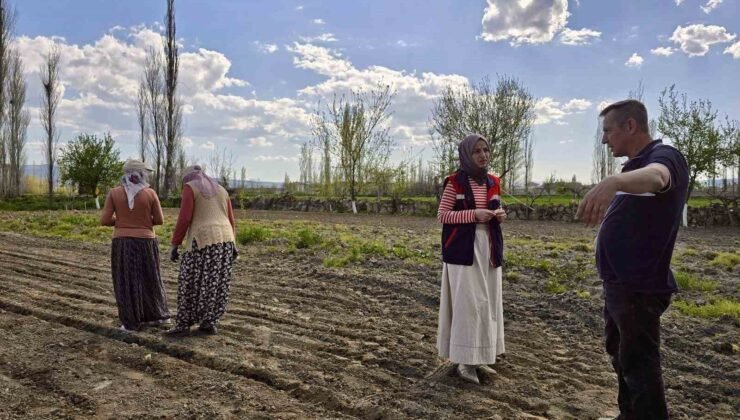 Tarım arazilerinde kontroller sürüyor