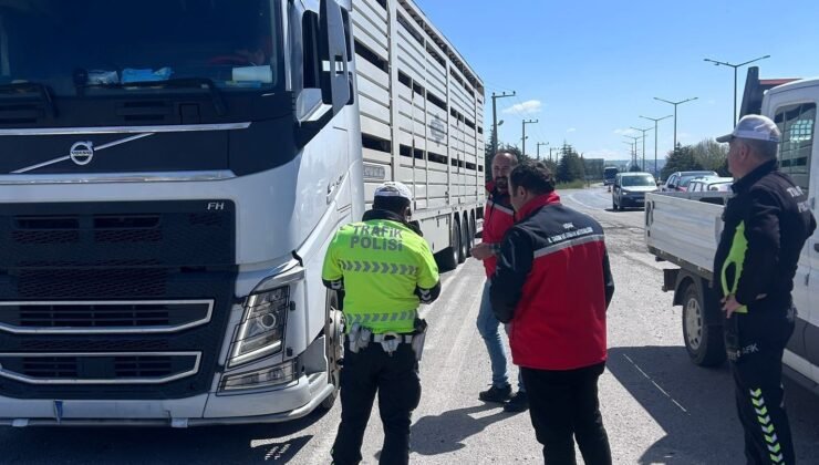 Uşak’ta hayvan sağlığı ve halk sağlığı için denetimler sürüyor