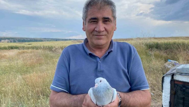 43 yıldır süren güvercin tutkusu