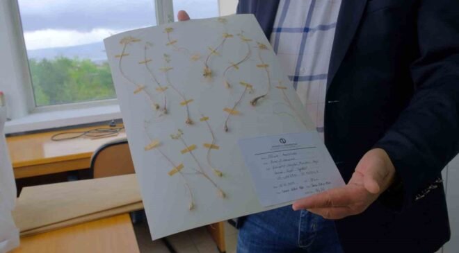 Anadolu Üniversitesi’nden dünya literatürüne iki yeni endemik tür