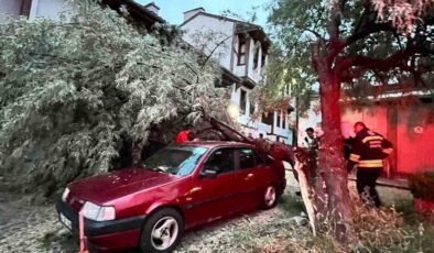 Araç üzerine düşen ağaç itfaiye ekiplerinin titiz çalışmasıyla kaldırıldı