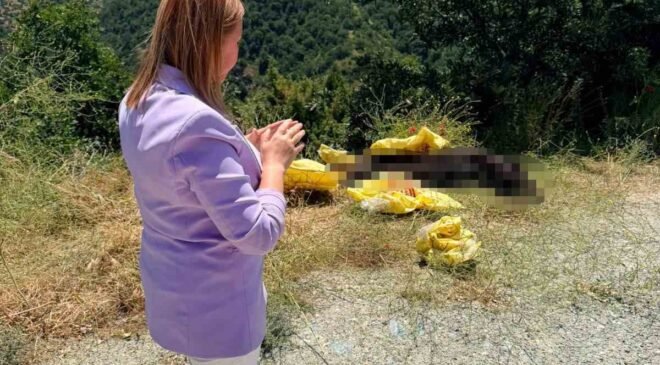 Başkan Tekin’den yol kenarına bırakılan hayvan leşine sert tepki