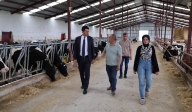 Beylikova Kaymakamı Kantilav, hayvancılık faaliyetlerini inceledi