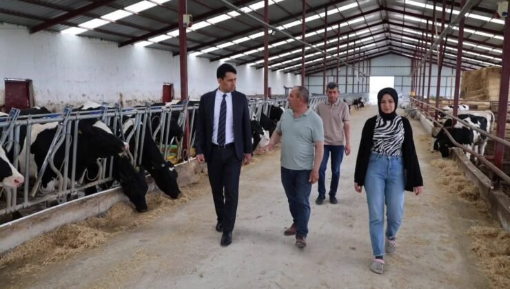 Beylikova Kaymakamı Kantilav, hayvancılık faaliyetlerini inceledi