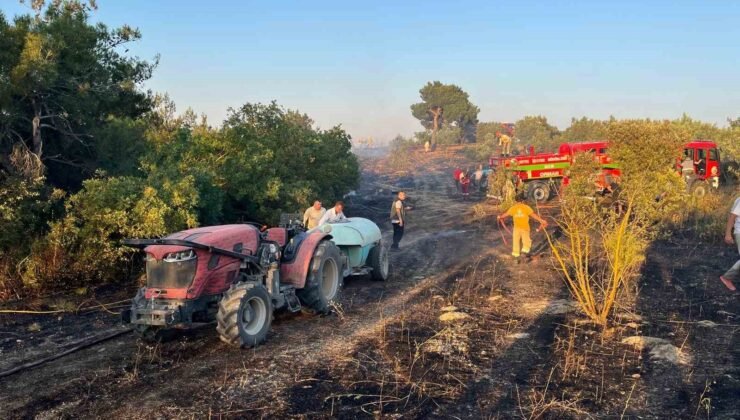 Bilecik sınırına yaklaşan alevler kontrol altına alındı
