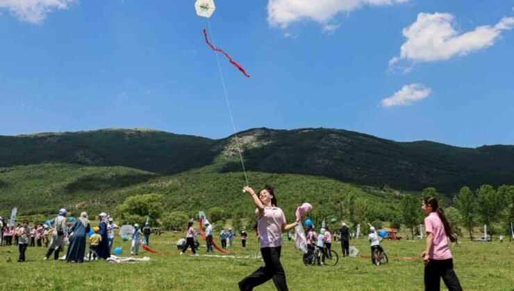 Bilecik’te gökyüzü uçurtmalarla renklendi