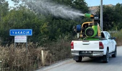 Bilecik’te haşerelere karşı ilaçlama çalışması yapıldı