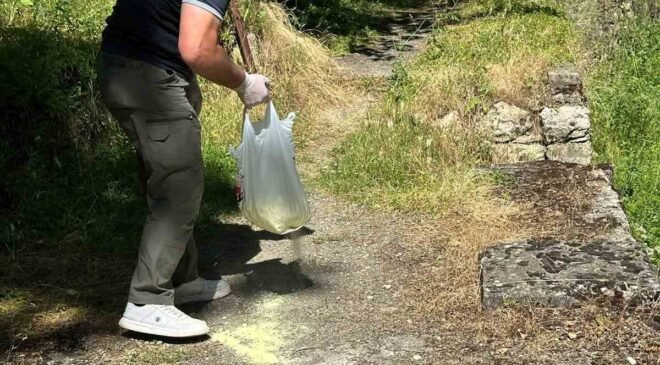 Bilecik’te piknik alanlarında ilaçlama çalışması gerçekleştirildi