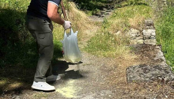 Bilecik’te piknik alanlarında ilaçlama çalışması gerçekleştirildi