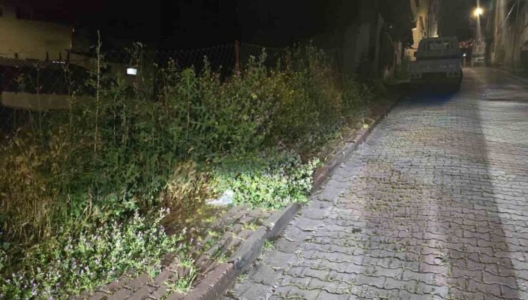 Bilecik’te vatandaşlar otlardan kaldırımda yürüyemiyor