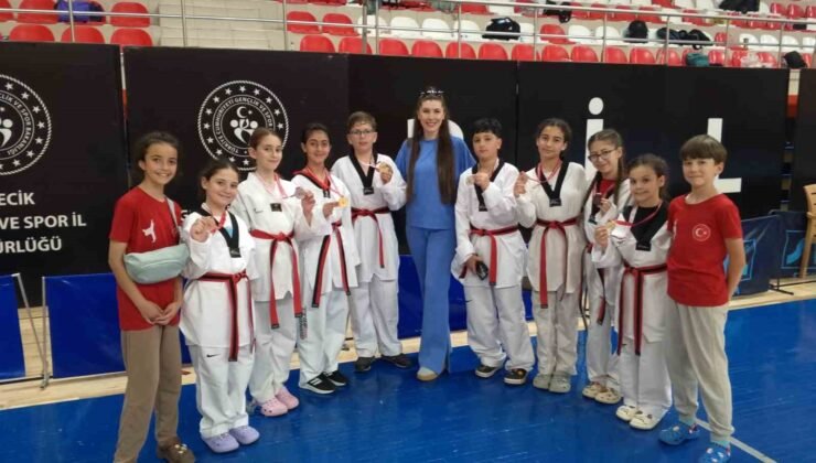 Bozüyüklü taekwondocular başarılarıyla göz doldurdu