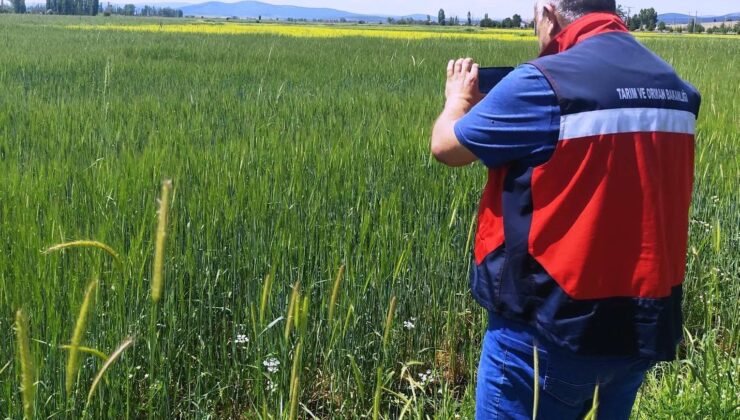 Çavdarhisar’da Referans Parsel Çalışmaları sürüyor