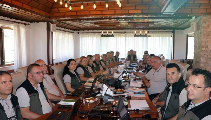 Eskişehir Orman Bölge Müdürlüğü, yılın ilk 6 ayını değerlendirdi