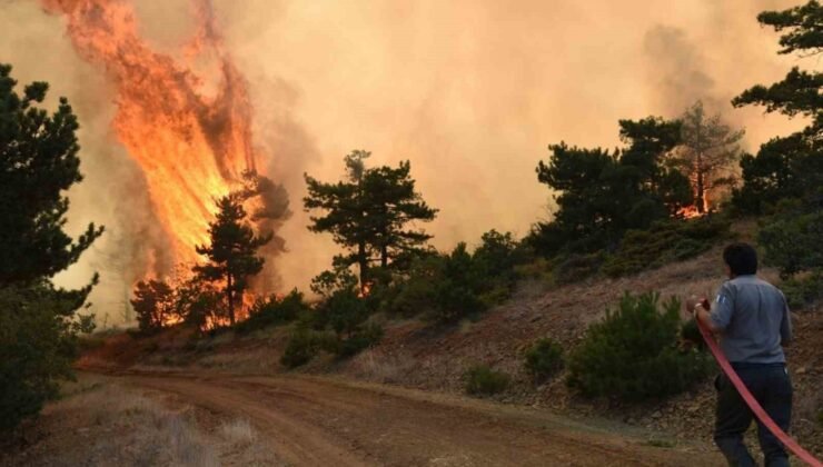 Eskişehir ve Afyonkarahisar’da ormanlara giriş yasaklandı