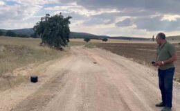 Eskişehir’de kaybolan gebe inek dron ile aranıyor
