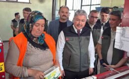 Eskişehir’den yangın bölgelerine gönderilen milyonlarca fidan ’nefes’ olacak