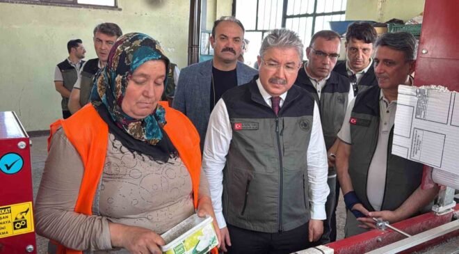 Eskişehir’den yangın bölgelerine gönderilen milyonlarca fidan ’nefes’ olacak