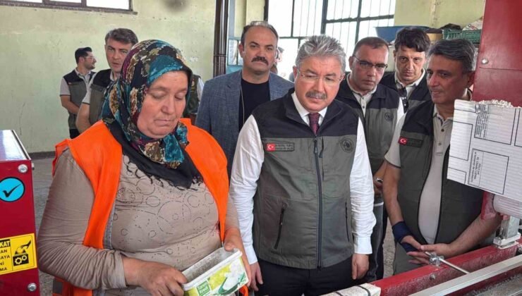 Eskişehir’den yangın bölgelerine gönderilen milyonlarca fidan ’nefes’ olacak